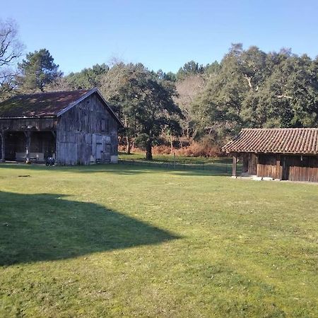 Апартаменти Le Petit Frouas Sud Вієль-Сен-Жирон Екстер'єр фото