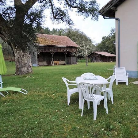 Апартаменти Le Petit Frouas Sud Вієль-Сен-Жирон Екстер'єр фото