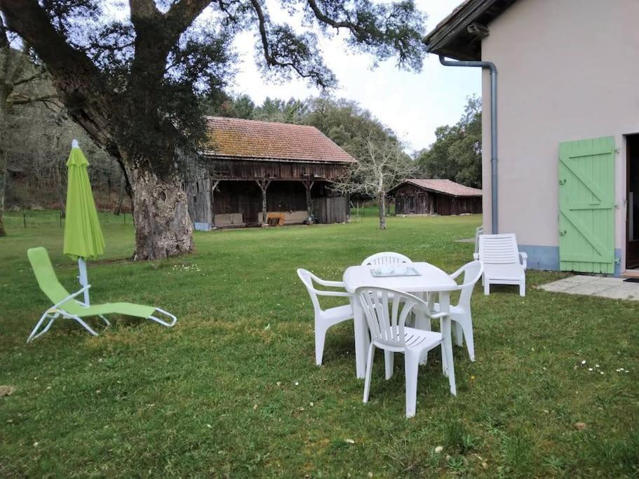 Апартаменти Le Petit Frouas Sud Вієль-Сен-Жирон Екстер'єр фото